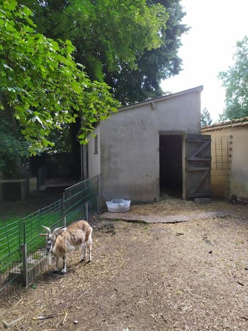 L'Echappee Belle Bed & Breakfast Chartres Luaran gambar