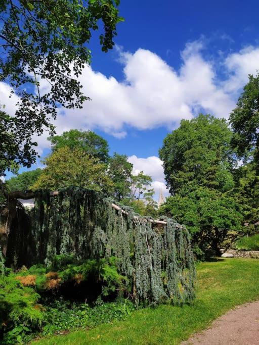 L'Echappee Belle Bed & Breakfast Chartres Luaran gambar